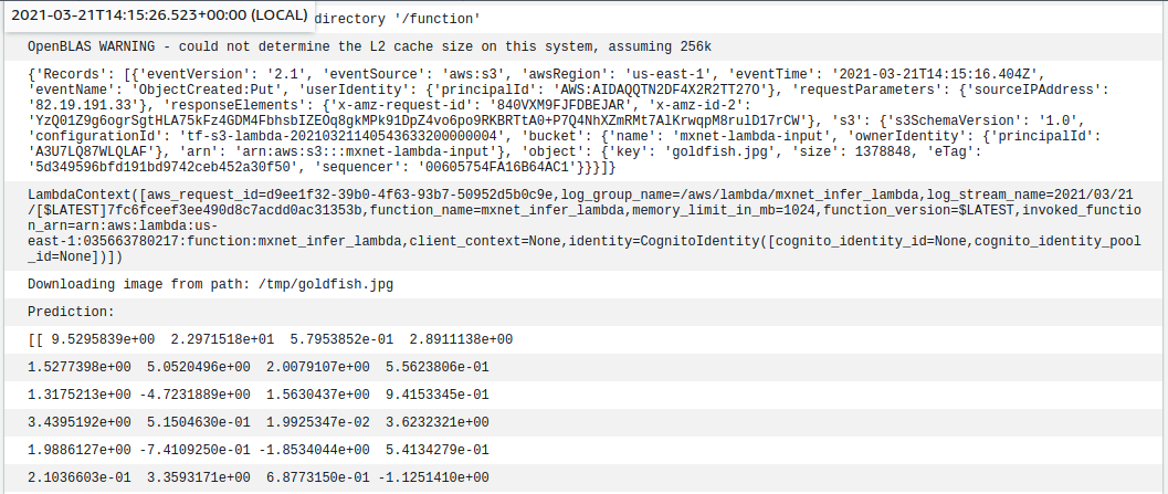 Cloudwatch logs event of model inference